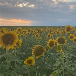 we can negotiate prices